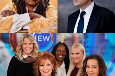Elon Musk called for a boycott of The View, calling it “a meeting place for ignorant women.” Immediately after, the entire cast responded fiercely