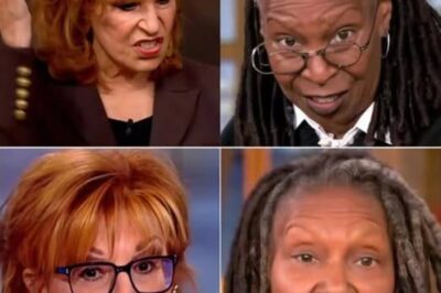 BREAKING NEWS : A/B/C refuses to renew contracts with Whoopi Goldberg and Joy Behar on The View, citing a desire to move away from “toxic” elements.
