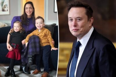 Fans React to Elon Musk, 53, Welcoming His 14th Child