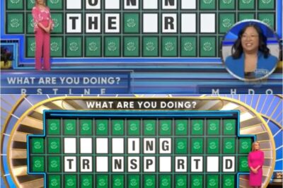 ‘Wheel of Fortune’ Fans Slam ‘Stupid, Stupid’ Puzzle: ‘AI Is Having a Field Day’