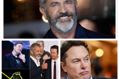 Mel Gibson And Mark Wahlberg Team Up With Elon Musk And Invest $1-3 Billion In A “not-woke” Film Studio Committed To Traditional Family Values
