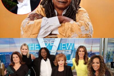 THRILLING: Elon Musk Called for a Boycott of The View, Labeling It “A Meeting Place for Ignorant Women.” The Entire Cast Responded Fiercely Immediately After…