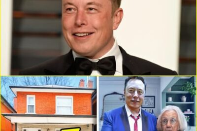 Elon Musk Steps In to Help 96-Year-Old Woman Keep Her Home
