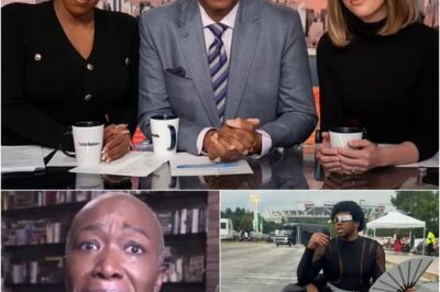 MSNBC announces the newest TV star to replace Joy Reid after brutally firing her, the biggest surprise is finally confirmed