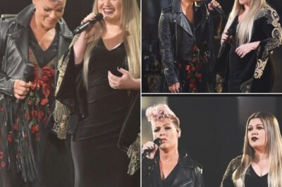 Pink, 44, joined forces with her friend Kelly Clarkson, 41, for a powerful duet of Pink’s 2012 hit “Just Give Me A Reason,” showcasing their incredible vocal chemistry and friendship on stage.