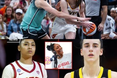 Sue Bird makes a shocking statement about the controversial final play between Caitlin Clark and Natasha Cloud: Was it elite defense or a referee’s mistake? The entire basketball community is in an uproar, and fans are eagerly awaiting a fiery rematch!