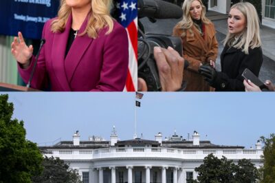 Trump’s White House “Swings Open the Doors” to New Media: The Youngest Press Secretary in History Vows to Bring the President’s Message to All Platforms, Challenging Traditional Journalism!