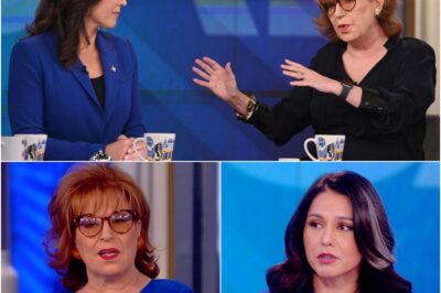 The Takedown: How Tulsi Gabbard Dismantled Joy Behar in a Fiery On-Air Clash That Rocked ‘The View’