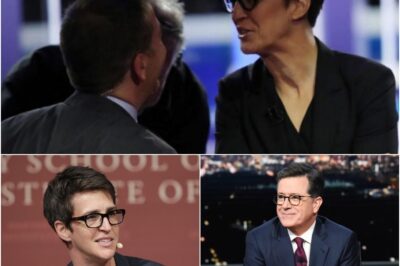 BIG BANG: Rachel Maddow, Stephen Colbert, and Joy Reid Quietly Launch a Newsroom Revolution That Could Change Everything