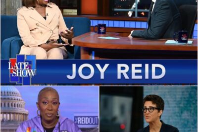 “MEDIA REVOLUTION IGNITES” — Rachel Maddow secretly launches a bold new newsroom, teaming up with Stephen Colbert and Joy Reid to defy corporate control and shake the foundations of mainstream news.