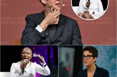 Rachel Maddow, Stephen Colbert, and Joy Reid Ignite a News Revolution with Bold New Venture
