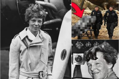 After 87 years of mystery, the fate of Amelia Earhart, the first woman to fly solo across the Atlantic, has finally been revealed. The shocking, yet far from hopeful, truth ends decades of uncertainty surrounding her disappearance.