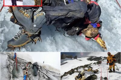 22-YEAR-OLD MYSTERY SOLVED: Perfectly preserved body of American climber found after two decades on Peru’s ‘Ghost of Huascarán’ mountain!