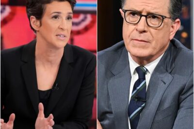 A News Revolution: Rachel Maddow, Stephen Colbert, and Joy Reid Unite to Launch an Independent Newsroom