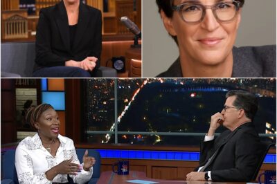 BIG BANG: Rachel Maddow quietly launches a newsroom that MSNBC never dreamed of – A bold vision, Breaking the layers of censorship for a corrupt and manipulative press, they won’t have to answer to anyone! AND OF COURSE, THE TWO PARTNERS ARE NONE OTHER THAN STEPHEN COLBERT AND JOY-REID