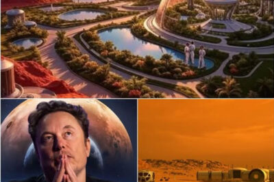 Breaking news:Elon Musk’s plan to conquer Mars is getting closer. He even designed a lavish kingdom with modern technology to welcome his family away from Earth.