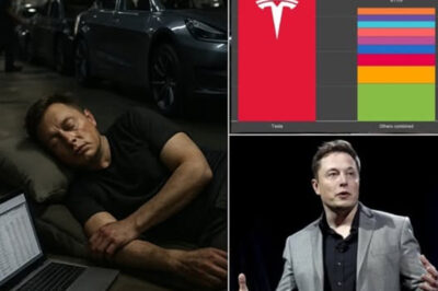 From Mockery to Market Domination: How Elon Musk Slept on the Factory Floor and Turned Tesla’s Darkest Hour into a $1 Trillion Triumph