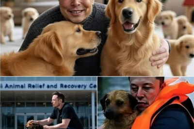 Elon Musk’s Heartwarming Act: Elon Musk’s inspiring act of kindness, from rescuing a dog to donating $10 million for animal relief efforts. Let’s see what this money has done in terms of meaning.