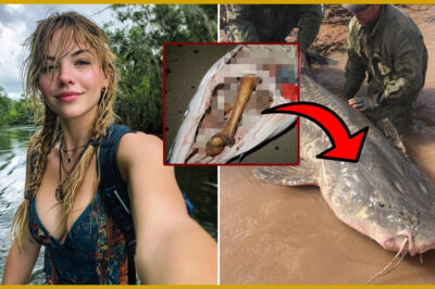 Hiker Disappeared in Congaree — Remains Found in Giant Catfish 5 Years Later