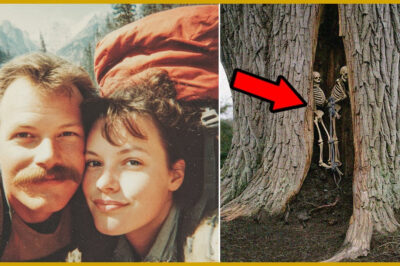 The Secret Beneath the Joshua Tree: A Love Story Turned Tragedy