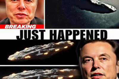 Elon Musk Confirms: 3I/ATLAS Is an Alien Spacecraft — Urges Immediate Action