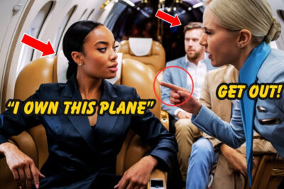 Flight Attendant Slaps Black Woman Unaware She’s the Billionaire That Owns the Plane