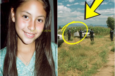 Girl disappeared in 2003 in a cornfield – 2 days later, truck driver found something disturbing…..