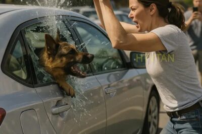 I Broke a Stranger’s Car Window to Save a Dog, and Then Something Completely Unexpected Happened