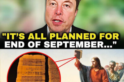 JRE: Hidden Teachings of Jesus Banned From Bible Reveal Shocking Secrets!