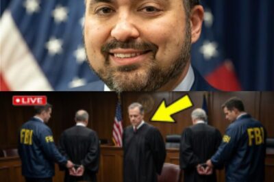 How 28 U.S. Judges Allegedly Built a Hidden Drug Kingdom