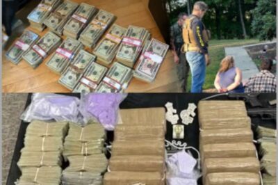 Federal Shockwave: ICE & DEA Raid Estate Allegedly Linked to Cartel Money Network