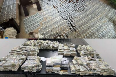 3,000 Arrested. $10 Billion Seized. L.A.’s Underworld Shaken to Its Core