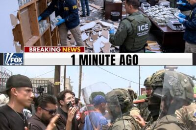 FBI & ICE Raid California Non Profit — Cartel CEO Hid $275M in Walls